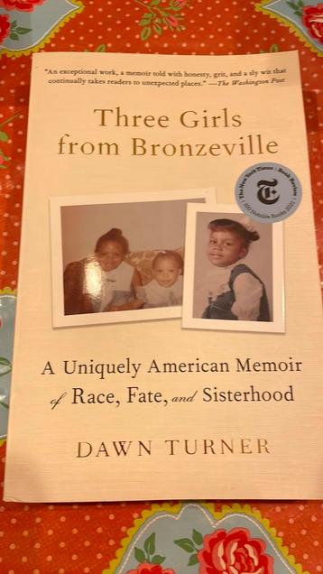 Three girls from Bronzeville - Dawn Turner beschikbaar voor biedingen