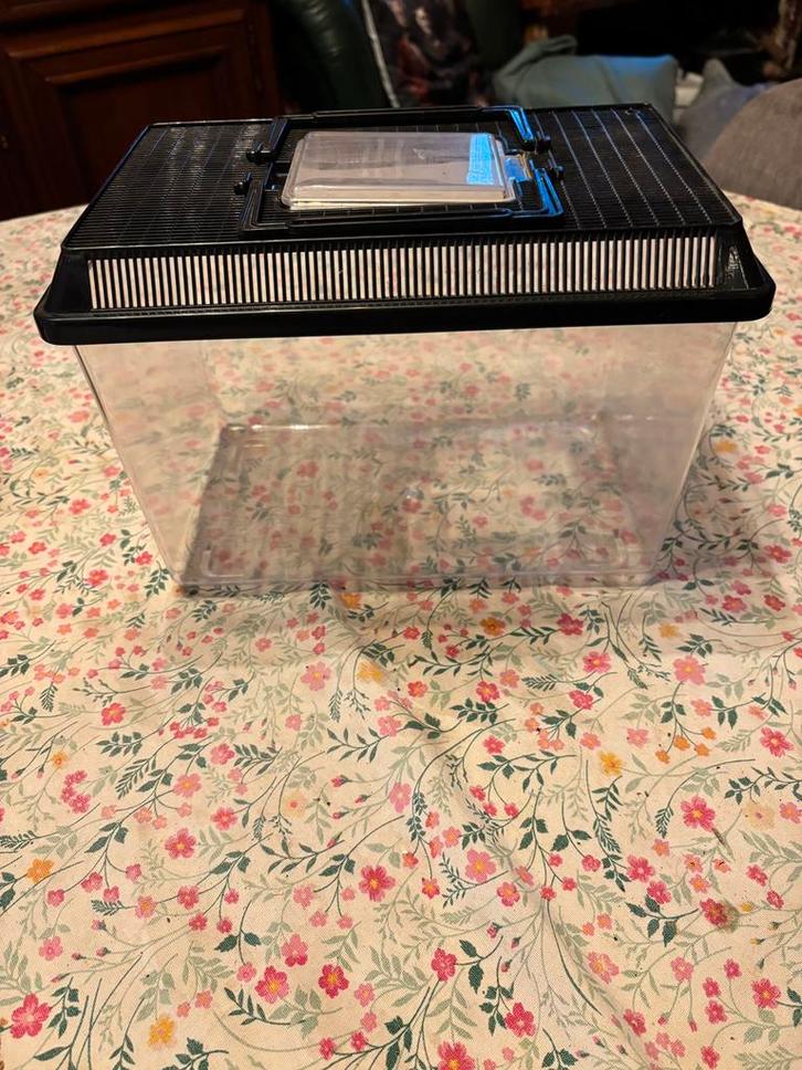 Boite d'élevage pour reptile, Dieren en Toebehoren, Reptielen en Amfibieën | Toebehoren, Zo goed als nieuw, Ophalen