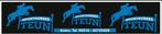 -, Dieren en Toebehoren, Paarden, Springpaard, Ruin, Zadelmak, 3 tot 6 jaar