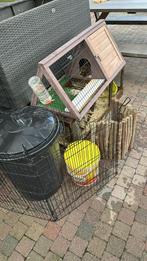 Konijnenkooi en toebehoren, Dieren en Toebehoren, Ophalen, Zo goed als nieuw, Kooi
