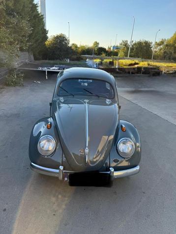VW kever 1954 beschikbaar voor biedingen