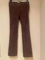 Damesbroek  suède, Kleding | Dames, Hemisphere, Ophalen of Verzenden, Zo goed als nieuw, Maat 36 (S)