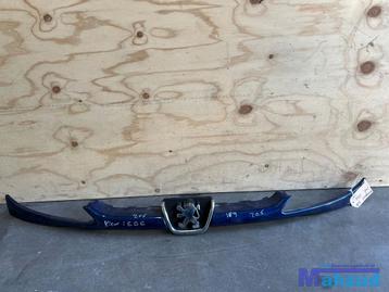 PEUGEOT 206 blauw EGE grille 1998-2006 beschikbaar voor biedingen