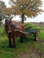 Kar voor paard, Ophalen, Gebruikt
