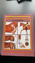 P. Henriques - Exterieur, Ophalen of Verzenden, Zo goed als nieuw, P. Henriques