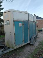 Paardentrailer Ifor Williams HB505R, Articles professionnels, Machines & Construction | Abris de chantier & Conteneurs, Enlèvement