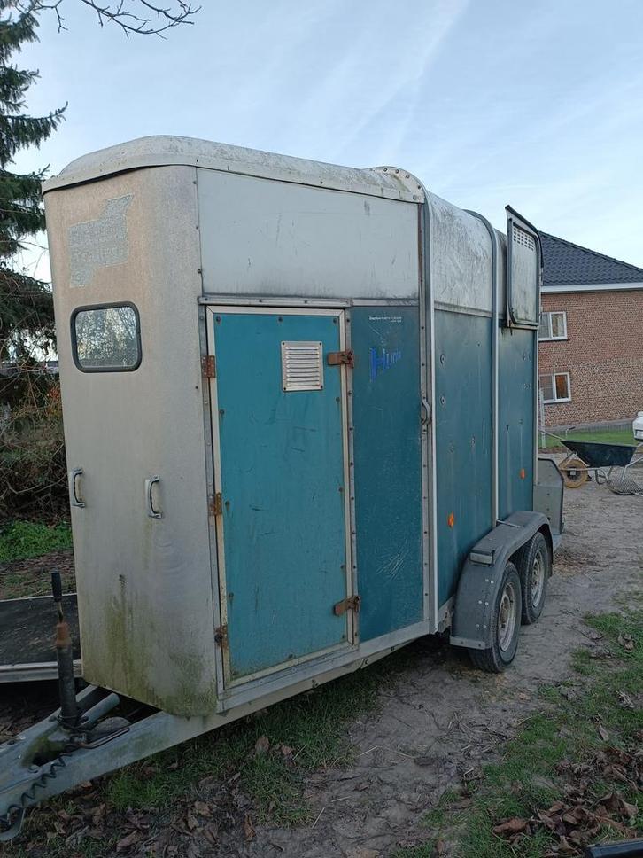 Paardentrailer Ifor Williams HB505R, Articles professionnels, Machines & Construction | Abris de chantier & Conteneurs, Enlèvement