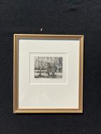 Gravure Edmond van Mieghem, Ophalen of Verzenden