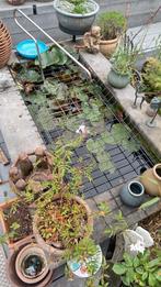 complete vijver, Tuin en Terras, Ophalen of Verzenden, Gebruikt