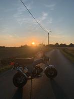 Dax b klasse 50 cc, Fietsen en Brommers, Minibikes, Midibikes en Pitbikes, Ophalen, Zo goed als nieuw, 50 cc, Overige typen