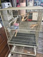Volière a vendre, Animaux & Accessoires, Enlèvement, Volière