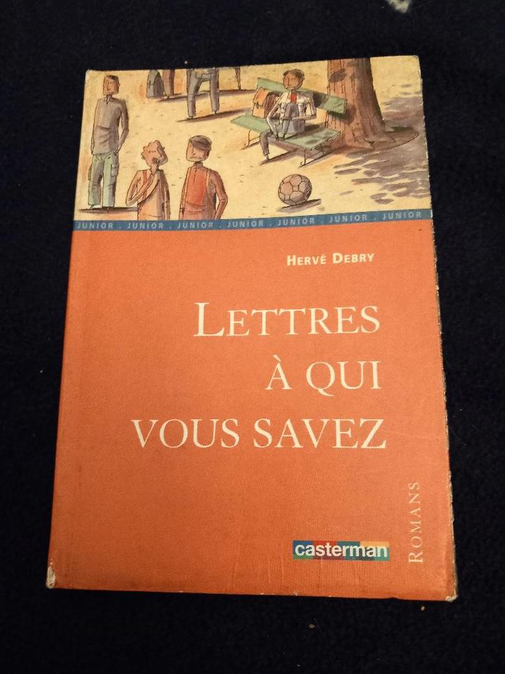 Junior boek „Letters to Whom You Know”, Boeken, Kinderboeken | Jeugd | 10 tot 12 jaar, Gelezen, Ophalen