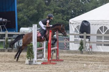 Halve stal gezocht beschikbaar voor biedingen