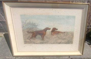 Gravure chien de chasse signe Léon danchin beschikbaar voor biedingen