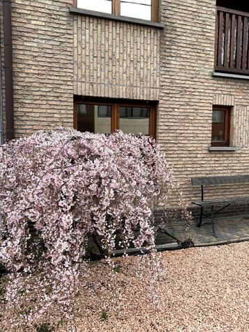 Zijn je huisnummers ook opeens verwijderd door de stad??? beschikbaar voor biedingen