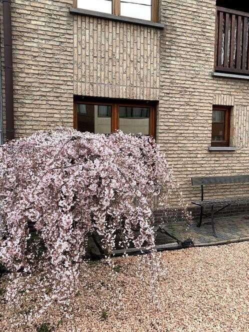 Zijn je huisnummers ook opeens verwijderd door de stad???, Contacten en Berichten, Advies en Oproepen