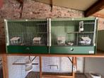 Broedkooi, Dieren en Toebehoren, Vogels | Hokken en Kooien, Ophalen, Zo goed als nieuw, Metaal, Broedkooi of Kweekkooi