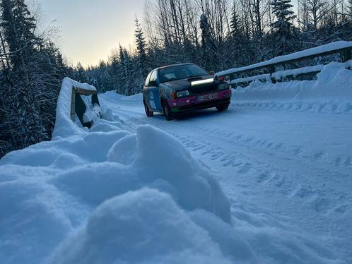 Vw polo rally auto, Auto's, Volkswagen, Particulier, Polo, Benzine, Ophalen