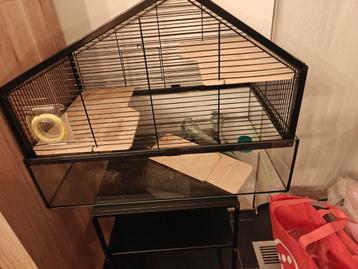 Hamster kooi, Enlèvement, Utilisé, Cage, Hamster