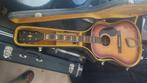 60's hagstrom J-45 folk guitar, Ophalen, Gebruikt, Western- of Steelstringgitaar, Met koffer