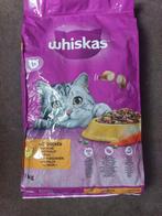 Nourriture pour chat, Animaux & Accessoires, Enlèvement, Chat