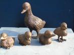 canard en bronze 5 pièces !!!, Jardin & Terrasse, Enlèvement ou Envoi, Neuf, Autres matériaux, Animal