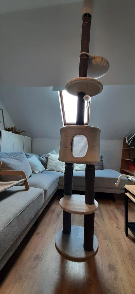 In hoogte verstelbare krabpaal krabbenboom katten, Dieren en Toebehoren, Krabmeubelen, Ophalen