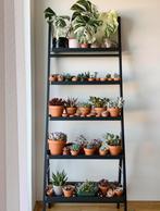 Étagère a plantes Ikea, Ophalen of Verzenden