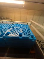 Plastiek/ kunsstof palletten stapelbaar 20stks, Doe-het-zelf en Bouw, Kratten en Dozen, Ophalen