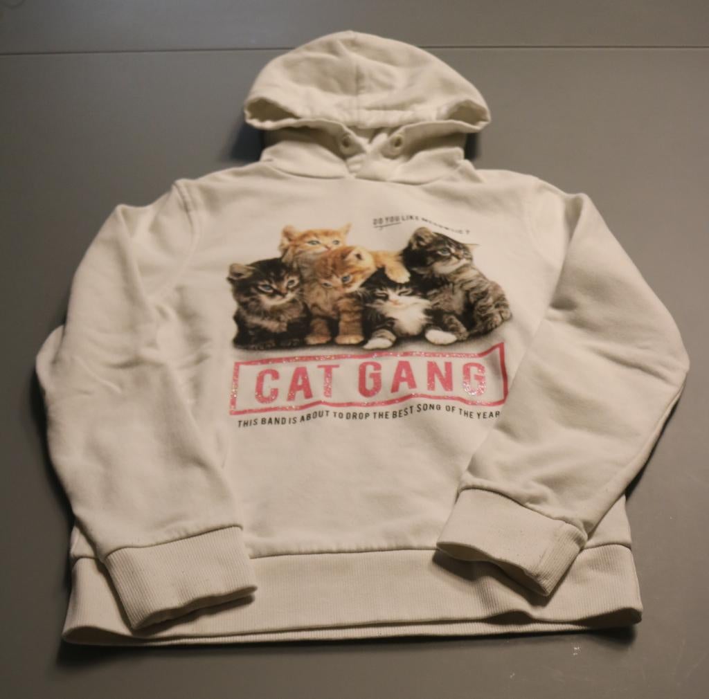 witte trui met kap maat 146-152, Kinderen en Baby's, Kinderkleding | Maat 146, Ophalen of Verzenden, Zo goed als nieuw, Meisje