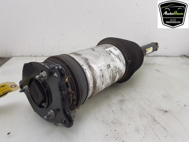 AMORTISSEUR ARRIÈRE GAUCHE Tesla Model S (|106746625C|), Autos : Pièces & Accessoires, Suspension & Châssis, Autres marques automobiles