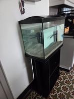 Aquarium te koop, Ophalen, Filter