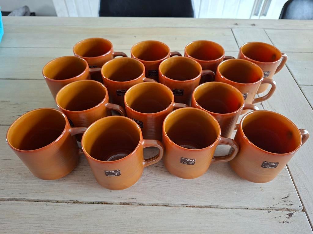 15 tassen Arcopal Volcan Bruin, Ophalen