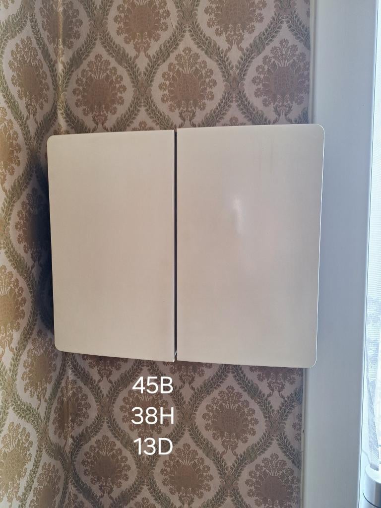 Armoire à pharmacie armoire à pharmacie vintage rétro 2 port, Enlèvement ou Envoi, Maison et Meubles