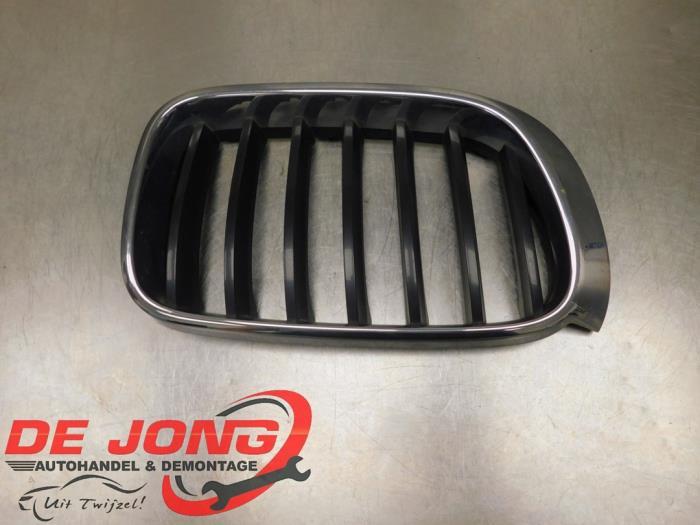 Calandre d'un BMW X3, -, 3 mois de garantie, Utilisé, -