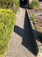 Beton klinkers gratis, Tuin en Terras, Ophalen, Gebruikt, Beton, Klinkers