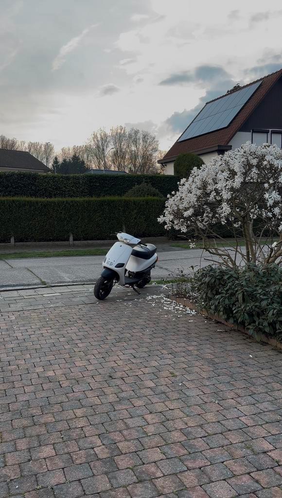 Zip type 3 waarde schatting(niet tekoop), Vélos & Vélomoteurs, Scooters | Piaggio, Comme neuf, Zip, Enlèvement ou Envoi