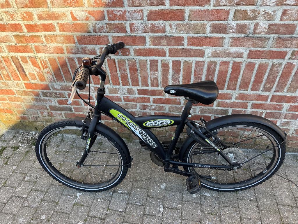 Kinderfiets type mountainbike, Fietsen en Brommers, Ophalen, Gebruikt, Schijfrem, 16 tot 20 inch