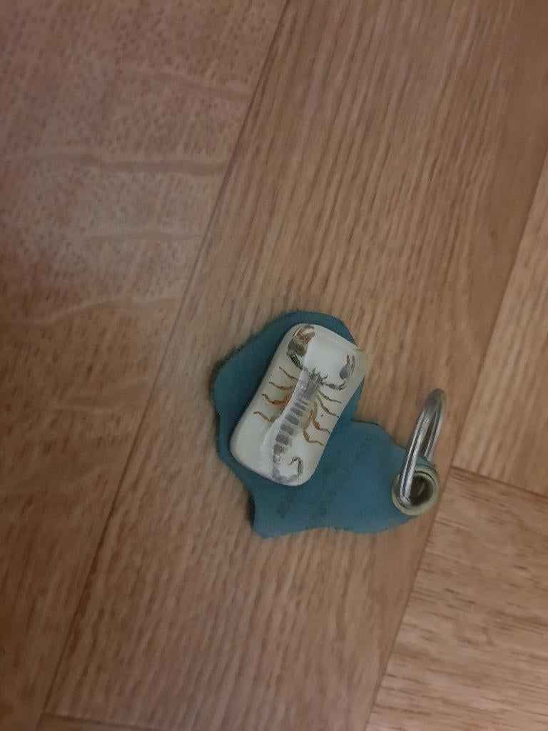 souvenier horoscoop schorpioen sleutelhanger, Ophalen of Verzenden