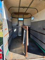 paarden van, Meerdere dieren