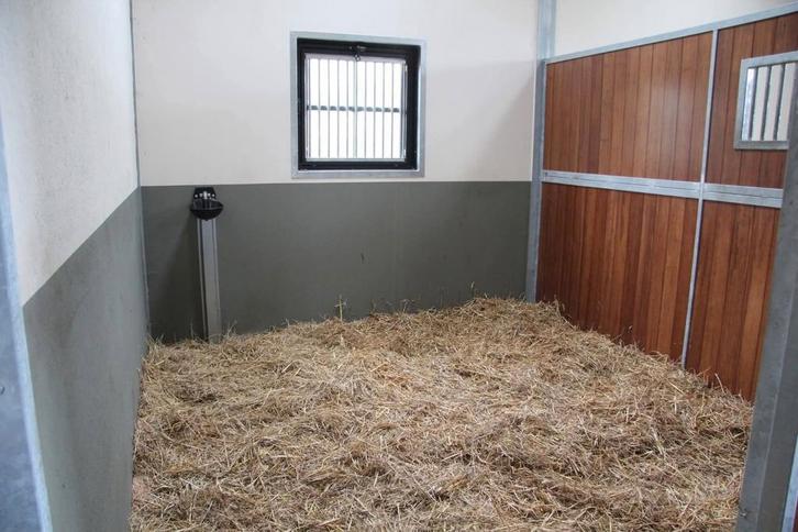 Stallen te huur, Animaux & Accessoires, Box & Pâturages