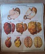 Oude Franse schoolkaart L'alcoolisme, Ophalen of Verzenden