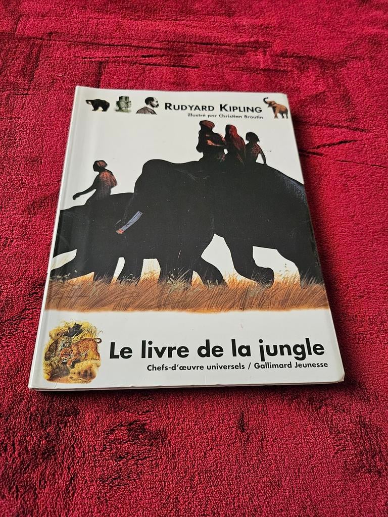 9782070583003, Boeken, Film, Tv en Media, Ophalen of Verzenden