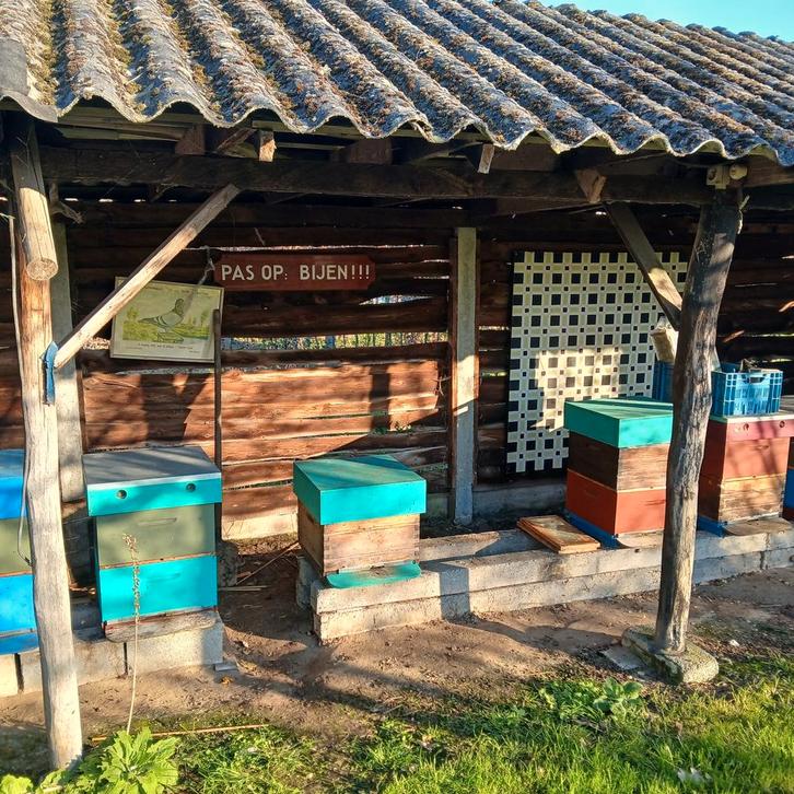 Carnica bijen 2x 11 ramer, Dieren en Toebehoren, Insecten en Spinnen, Bijen