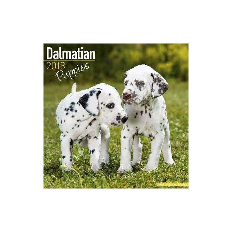 Calendrier Chiot Dalmatien 2018, Divers, Calendriers, Enlèvement ou Envoi, Calendrier annuel, Neuf
