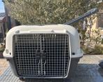 Cage de transport pour chiens ou chat, Enlèvement, Comme neuf