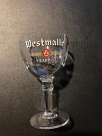 TRAPPIST GLAZEN, Enlèvement ou Envoi, Utilisé, Verre à bière