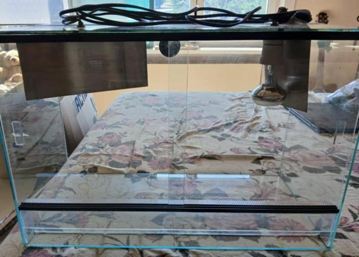 terrarium 60*30*40 - 60 euro, Dieren en Toebehoren, Reptielen en Amfibieën | Toebehoren, Zo goed als nieuw, Terrarium of Paludarium