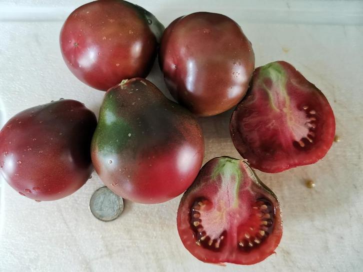 5 graines de tomates  Wine jug - biologiques, Jardin & Terrasse, Bulbes & Semences, Graine, Printemps, Envoi