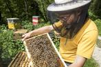 Miel éco responsable en direct de l'apiculteur, Enlèvement